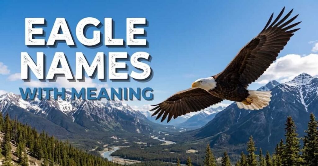 Eagle Names With Meaning