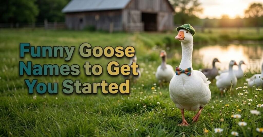 Funny Goose Names to Get You Started
